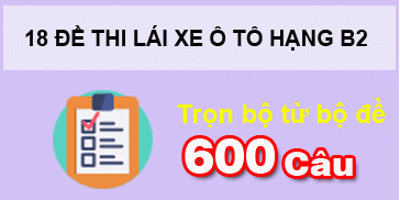 600 Câu hỏi lý thuyết - Phần 1 &nbsp; &nbsp; &nbsp; &nbsp; &nbsp; &nbsp; &nbsp; &nbsp; &nbsp; &nbsp;